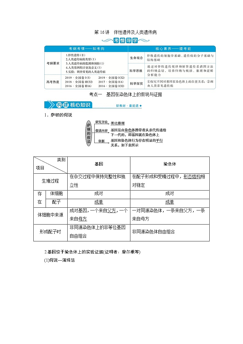 高中生物高考4　第五单元　第16讲　伴性遗传及人类遗传病第1页