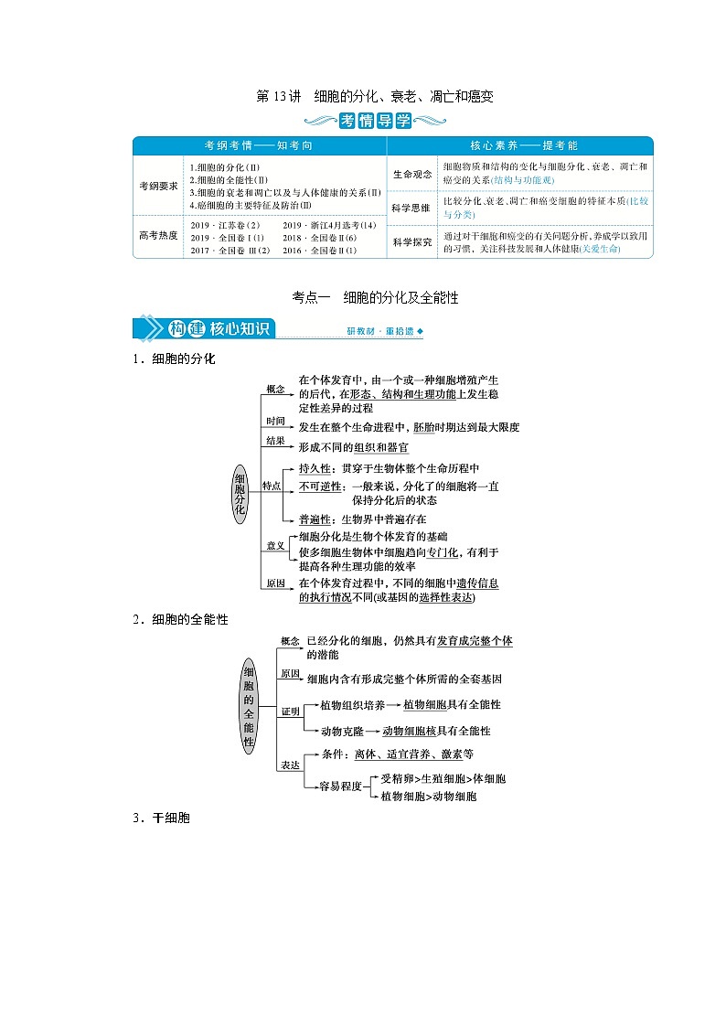 高中生物高考4　第四单元　第13讲　细胞的分化、衰老、凋亡和癌变第1页