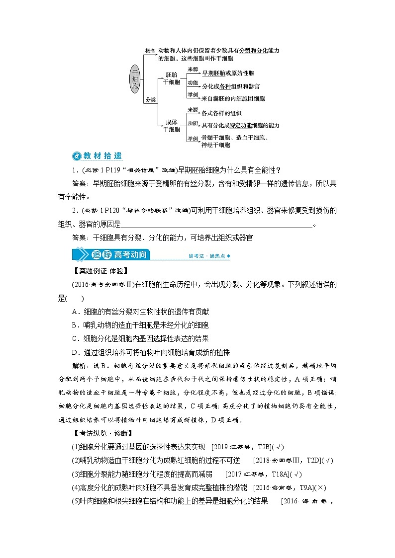 高中生物高考4　第四单元　第13讲　细胞的分化、衰老、凋亡和癌变第2页
