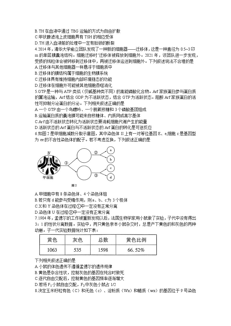 2023重庆市巴蜀中学高三下学期高考适应性月考（八）生物含答案第2页