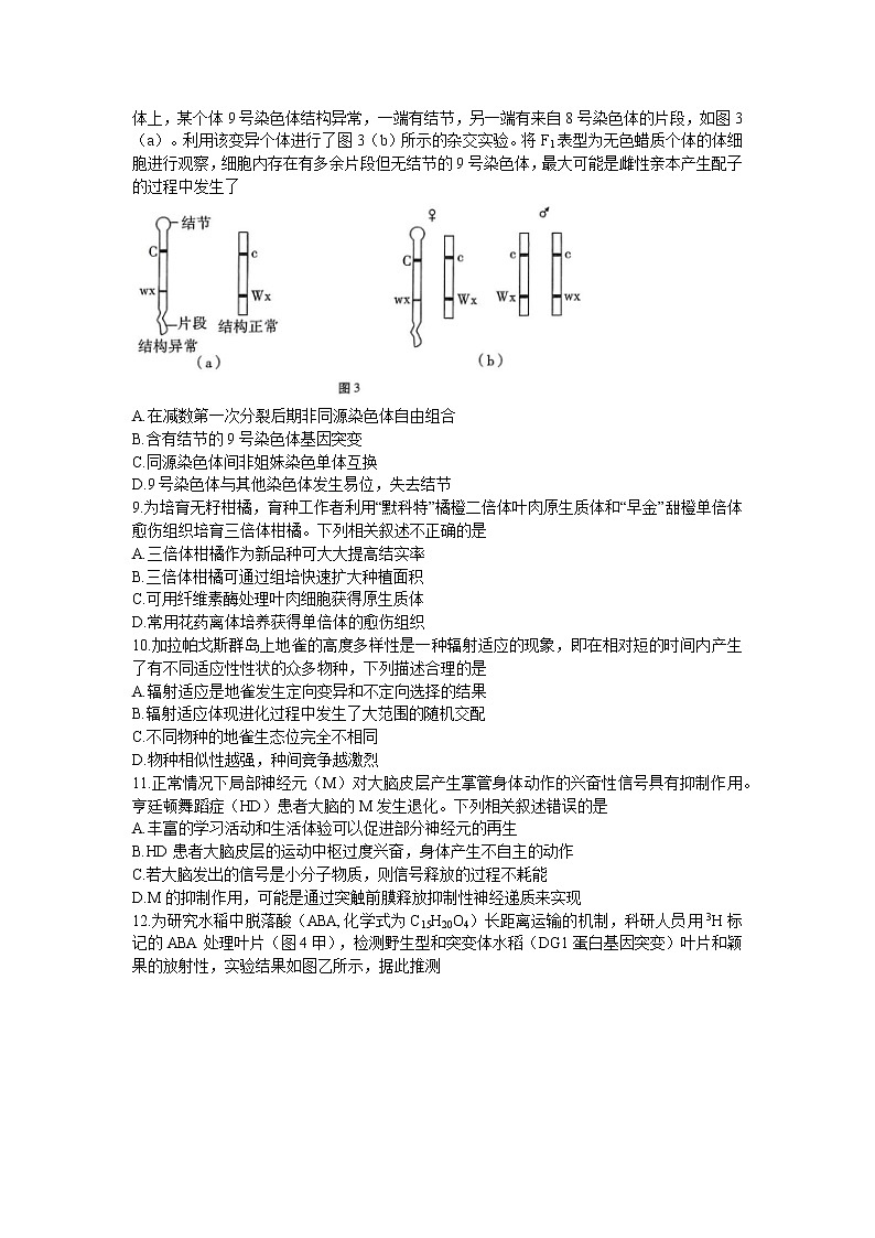 2023重庆市巴蜀中学高三下学期高考适应性月考（八）生物含答案第3页