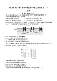 2023北京东城区高三下学期综合练习（一）生物试题含答案