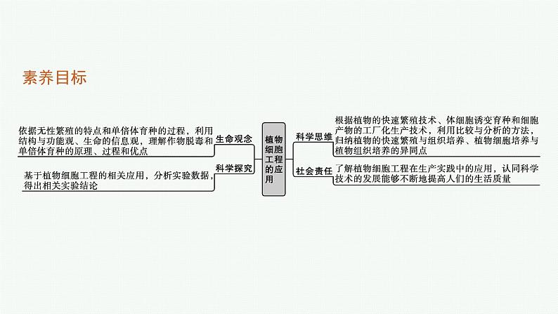 第1节　二　植物细胞工程的应用课件PPT第3页