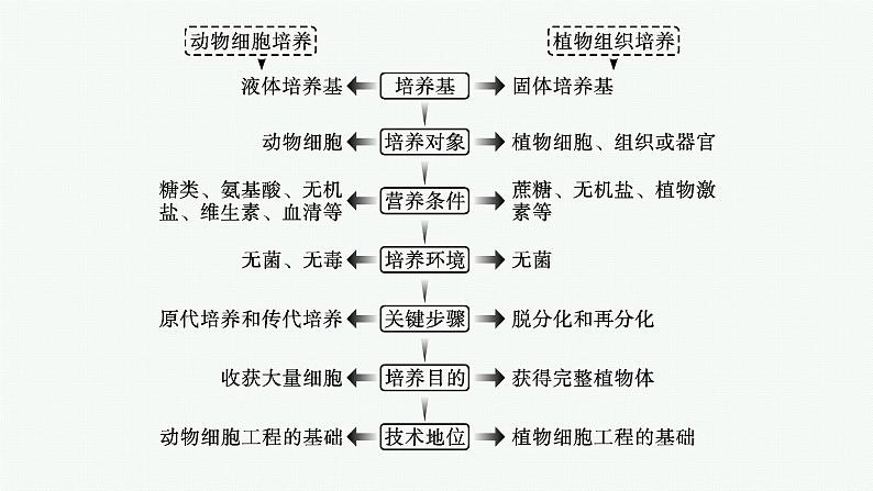 第2章　细胞工程 微专题2　动植物细胞工程的比较课件PPT第3页