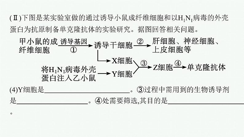 第2章　细胞工程 微专题2　动植物细胞工程的比较课件PPT第8页