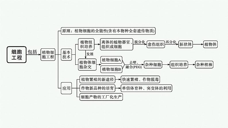 第2章　细胞工程 本章整合课件PPT02