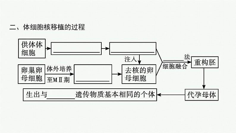 第2节　三　动物体细胞核移植技术和克隆动物课件PPT第6页