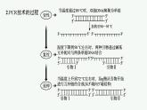 第3章　基因工程 微专题3　基因工程相关技术及过程分析课件PPT