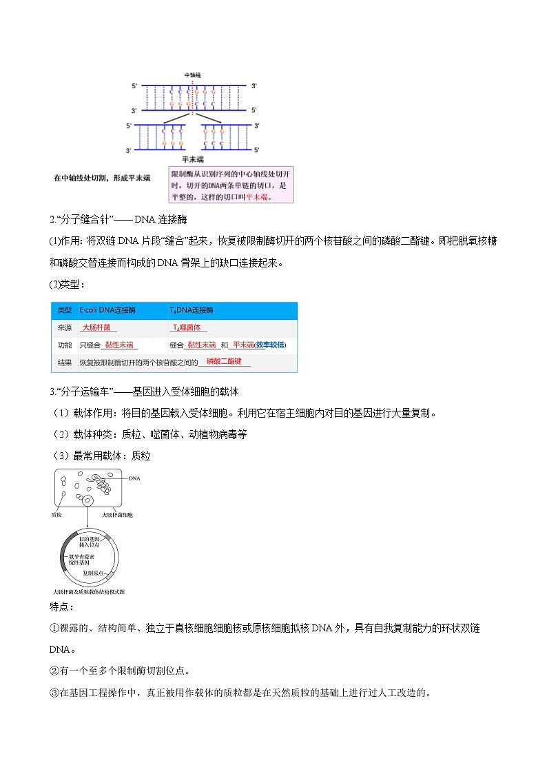 3.1 重组DNA技术的基本工具（教师版）-高二生物同步精品讲义（人教版2019选择性必修3）第3页