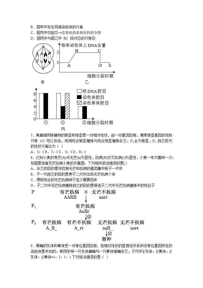 山东省潍坊市四中2022-2023学年高一下学期第一次月考生物试题02