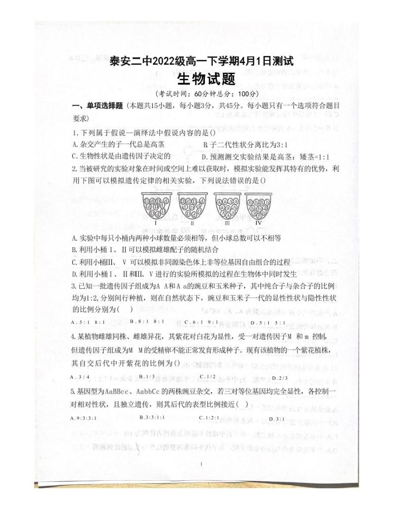 山东省泰安第二中学2022-2023学年高一下学期4月月考生物试题01