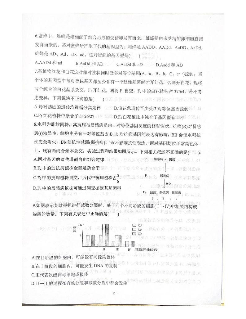 山东省泰安第二中学2022-2023学年高一下学期4月月考生物试题02