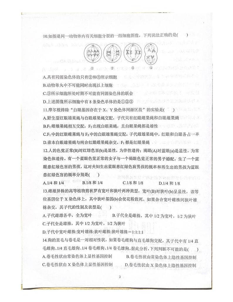 山东省泰安第二中学2022-2023学年高一下学期4月月考生物试题03