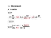 第2章  细胞工程 第1节　第2课时　植物细胞工程的应用课件PPT