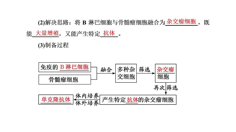 第2章  细胞工程 第2节　第2课时　动物细胞融合技术与单克隆抗体课件PPT04