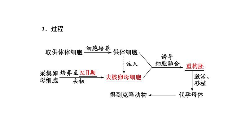 第2章  细胞工程 第2节　第3课时　动物体细胞核移植技术和克隆动物课件PPT03