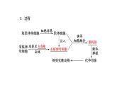 第2章  细胞工程 第2节　第3课时　动物体细胞核移植技术和克隆动物课件PPT