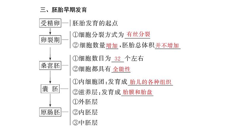 第2章  细胞工程 第3节　第1课时　胚胎工程的理论基础课件PPT第4页