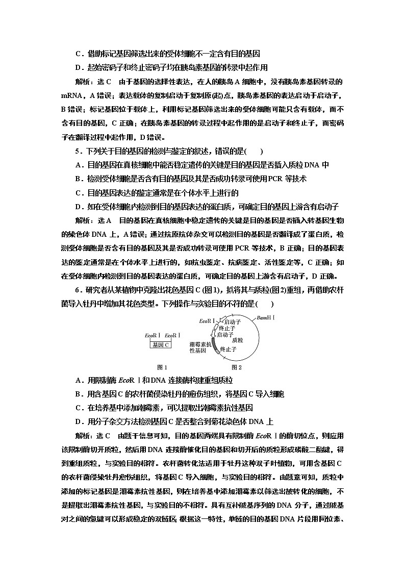 课时跟踪检测（十三）  基因工程的基本操作程序第2页
