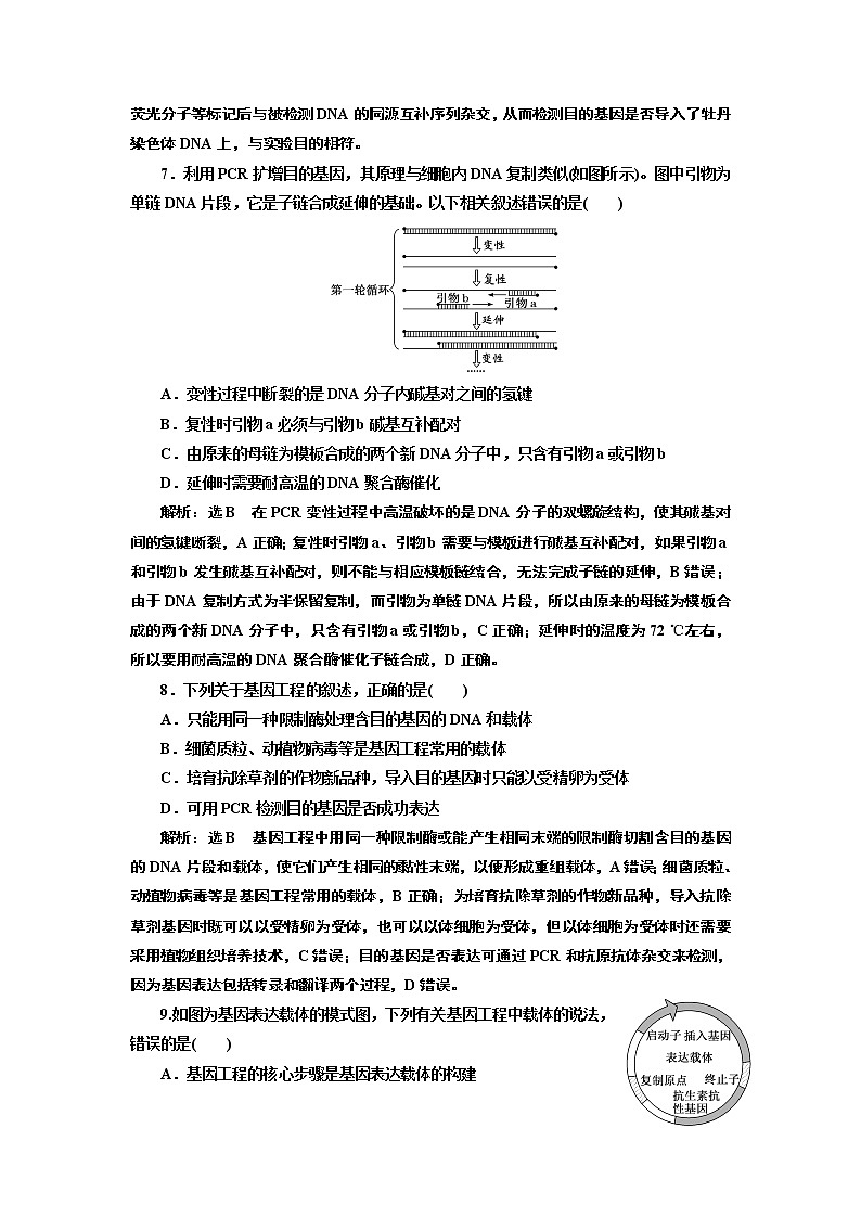 课时跟踪检测（十三）  基因工程的基本操作程序第3页