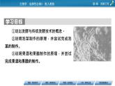 第1章 第1节传统发酵技术的应用课件PPT