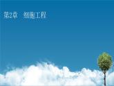 第2章 第1节 1植物细胞工程的基本技术课件PPT
