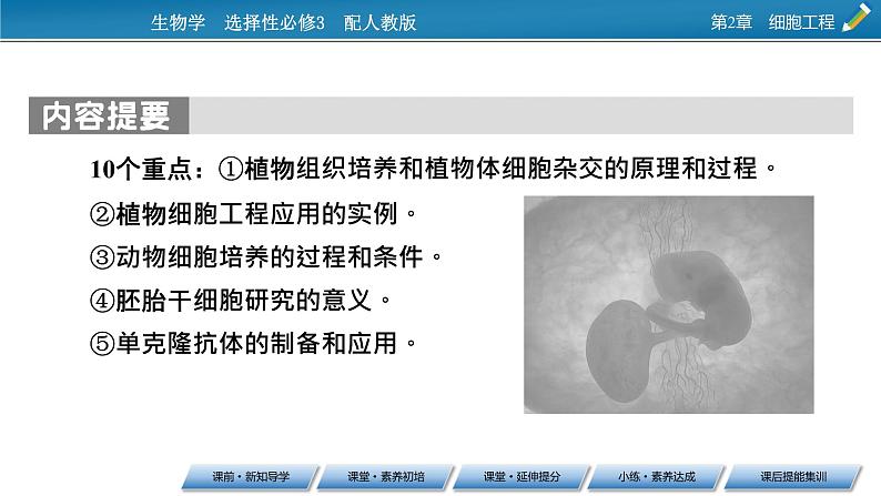 第2章 第1节 1植物细胞工程的基本技术课件PPT04
