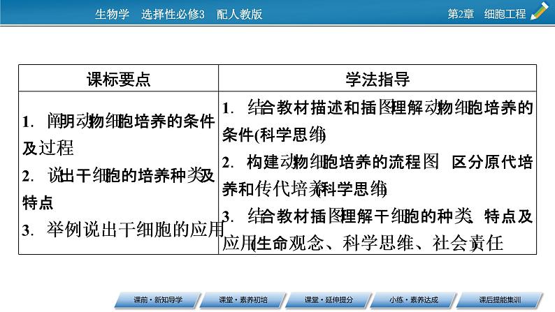 第2章 第2节 1动物细胞培养课件PPT第2页