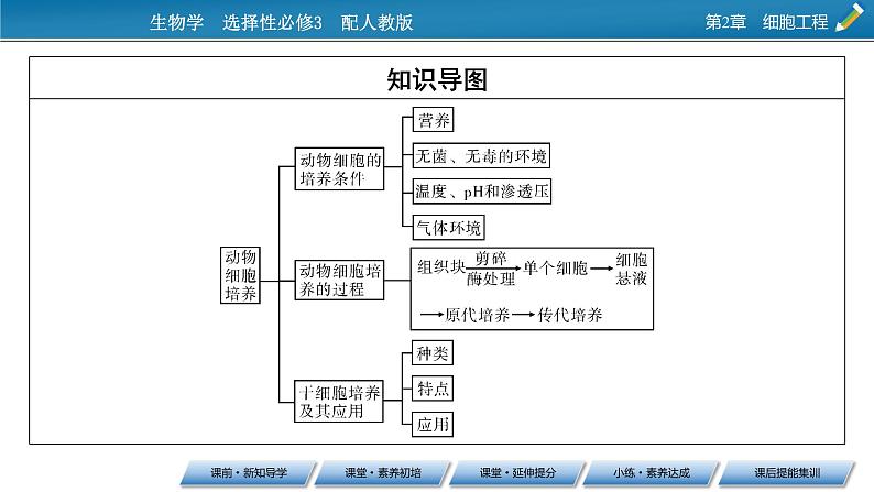 第2章 第2节 1动物细胞培养课件PPT第3页