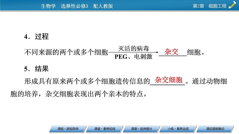 第2章 第2节 2动物细胞融合技术与单克隆抗体课件PPT06