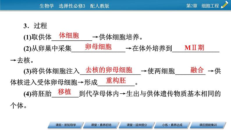 第2章 第2节 3动物体细胞核移植技术和克隆动物课件PPT06