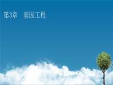 第3章 第1节重组DNA技术的基本工具课件PPT