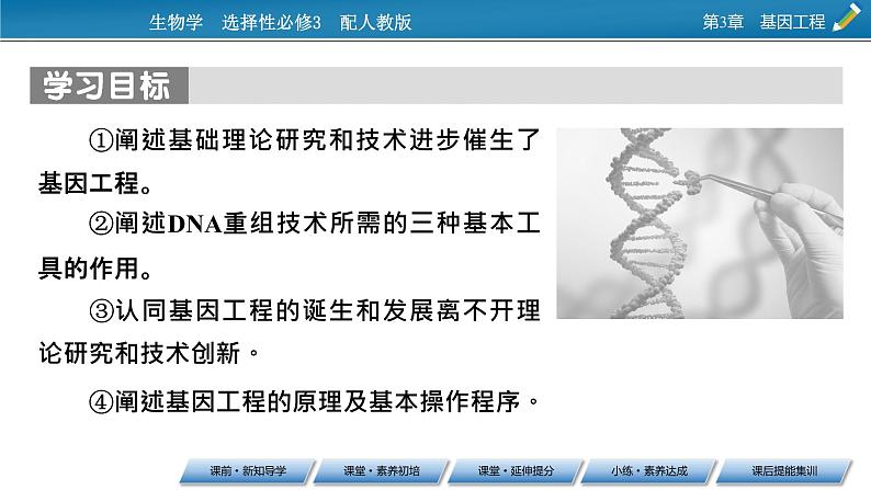 第3章 第1节重组DNA技术的基本工具课件PPT02