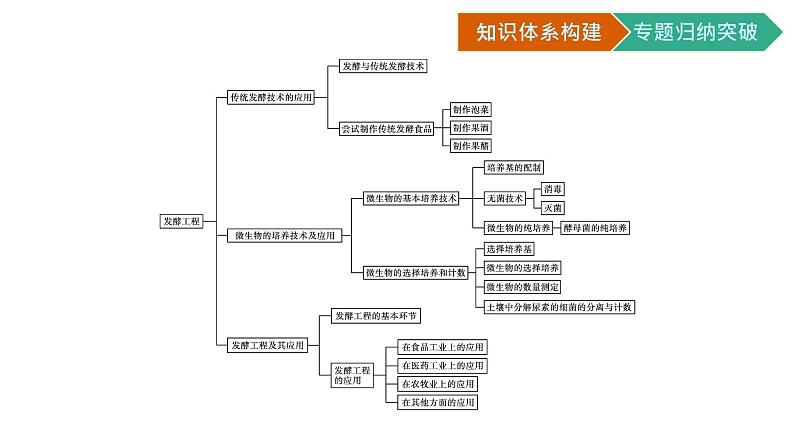 第1章　发酵工程 章末核心素养整合课件PPT02