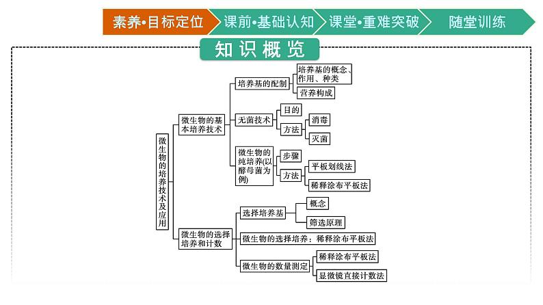 第1章　发酵工程 第2节　微生物的培养技术及应用课件PPT第4页