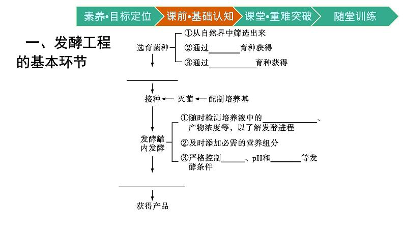 第1章　发酵工程 第3节　发酵工程及其应用课件PPT04