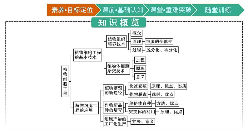第2章　细胞工程 第1节　植物细胞工程课件PPT03