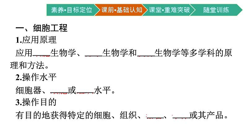 第2章　细胞工程 第1节　植物细胞工程课件PPT04