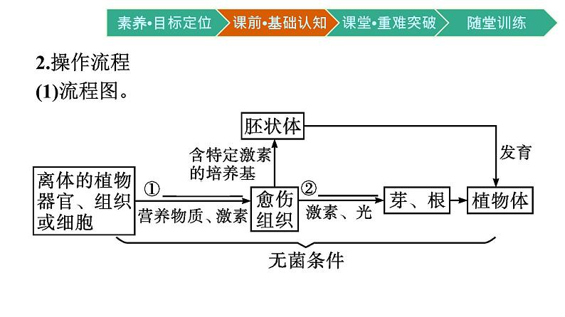 第2章　细胞工程 第1节　植物细胞工程课件PPT08