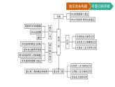 第3章　基因工程 章末核心素養(yǎng)整合課件PPT