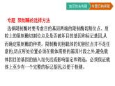 第3章　基因工程 章末核心素養(yǎng)整合課件PPT