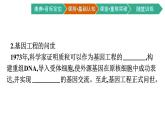 第3章　基因工程 第1节　重组DNA技术的基本工具课件PPT