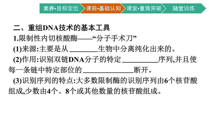 第3章　基因工程 第1节　重组DNA技术的基本工具课件PPT08