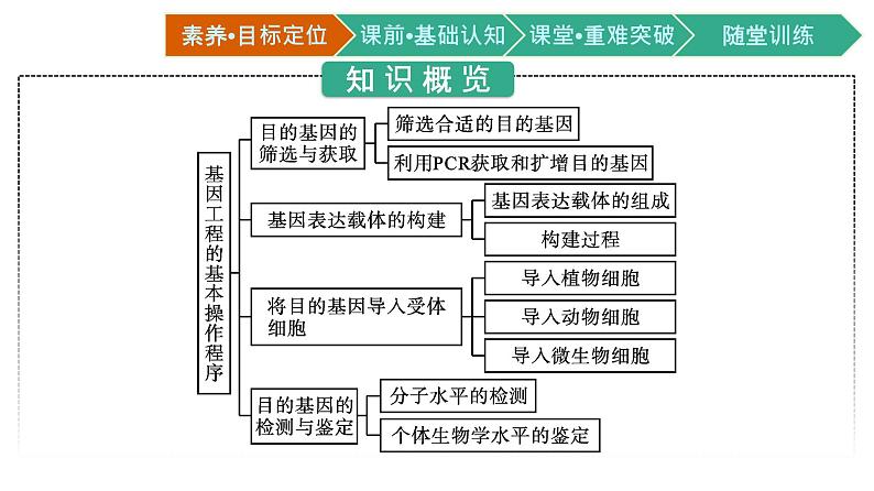 第3章　基因工程 第2节　基因工程的基本操作程序课件PPT第3页