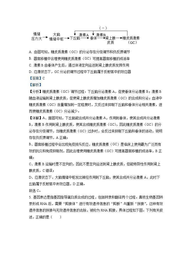 四川省宜宾市2023届高三生物下学期第二次诊断考试试题（Word版附解析）03