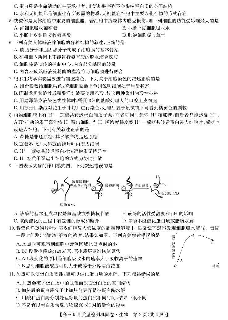 22届名校联盟9月质量检测巩固卷（老高考）-生物第2页