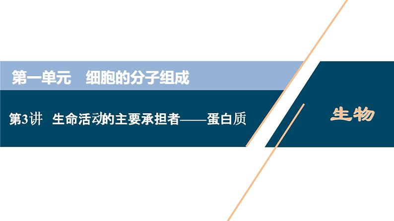 高中生物高考3　第一单元　第3讲　生命活动的主要承担者——蛋白质课件PPT第1页