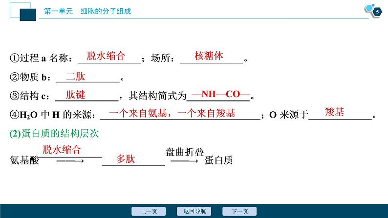 高中生物高考3　第一单元　第3讲　生命活动的主要承担者——蛋白质课件PPT第6页