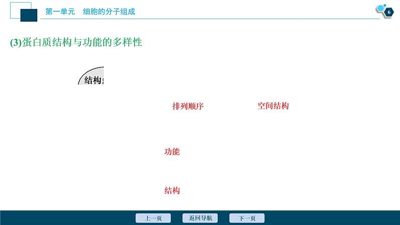 高中生物高考3　第一单元　第3讲　生命活动的主要承担者——蛋白质课件PPT第7页