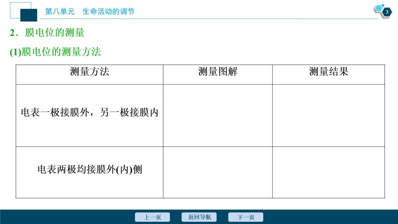 高中生物高考3 加强提升课(6)　膜电位测定及相关的实验探究课件PPT04